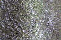 Hessett fibreglass roof work